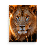 Image for size: 30cm x 40cm