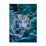 White Tiger