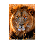 Image for size: 60cm x 80cm