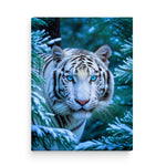 Image for size: 45cm x 60cm