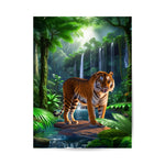 Image for size: 60cm x 80cm