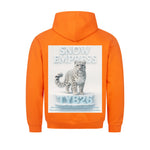 Image for color: orange